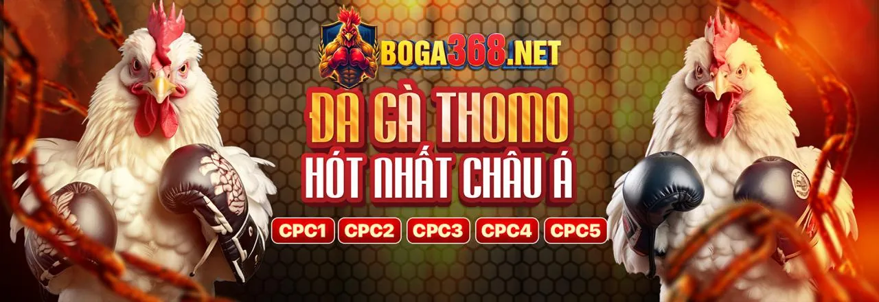 Hình ảnh chính của Blog u888b đăng nhập